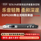 麥樂(lè )迪DSP6300卡拉ok混響器 數字音頻前級效果器 家庭影院防嘯叫調音臺處理器含話(huà)筒 調音臺均衡器 DSP6300藍牙升級版(含線(xiàn)) 標準版
