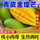 海南廣西金煌芒大青芒熱帶水果青皮新鮮整箱當季包郵甜心應季批發(fā) 凈重8斤裝 單果300g起