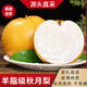 閩農語(yǔ)果秋月梨正宗萊陽(yáng)梨【多地次日達-源頭直采】新鮮梨子生鮮水果梨子 5斤（普裝 約6-9枚）凈重4.5斤