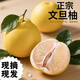 正宗福建仙游度尾文旦柚老樹紅心柚子新鮮當(dāng)季現(xiàn)摘孕婦應(yīng)季水果 【9.8~10.2斤裝】精品優(yōu)質(zhì)果
