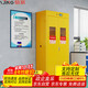 信京全鋼氣瓶柜安全柜防爆柜實(shí)驗室醫院工廠(chǎng)氣體儲存柜雙瓶二代警報
