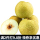 迭果寧陵貢梨石橋金頂謝花酥梨河南商丘特產(chǎn)老梨樹(shù)新秋梨 5斤中果7-10個(gè) 整箱