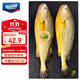 海名威 冷凍黃花魚(yú)700g/2條 寧德大黃魚(yú)地標 海鮮水產(chǎn) 生鮮魚(yú)類(lèi) 海魚(yú)