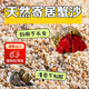 陸地港寄居蟹專(zhuān)用沙天然白沙珊瑚沙菲律賓沙子原生貝殼免洗造景魚(yú)缸底砂 寄居蟹專(zhuān)用沙【1-2毫米】500g