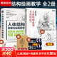 人體結(jié)構(gòu)原理與繪畫教學(xué) 肖瑋春 人物結(jié)構(gòu)造型繪畫零基礎(chǔ)入門 贈(zèng)人體動(dòng)態(tài)海報(bào)+視頻 人體結(jié)構(gòu)繪畫教學(xué)2冊(cè)（原理與繪畫教學(xué)+造型手繪技法