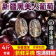 潤小萌新疆三色葡萄無(wú)核白玻璃脆玫瑰葡萄無(wú)籽提子馬奶白葡萄 新疆黑美人無(wú)籽葡萄