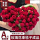 初構想手工玫瑰花束毛毯子成品披肩毯午睡毯diy創(chuàng  )意送女友生教師節禮物 150cm【  熱情紅 送禮袋+絲帶】 成品玫瑰花束【拍照出片神器】