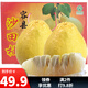 趣覓鮮正宗容縣沙田柚產(chǎn)地直發(fā)廣西特產(chǎn)純甜無(wú)酸老樹(shù)白肉柚子新鮮水果 12斤凈重小果9-11個(gè)禮盒裝
