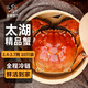 【活蟹】湖塘煙雨 太湖大閘蟹六月黃3.4-3.7兩10只鮮活螃蟹現貨水產(chǎn)禮盒海鮮源頭直發(fā)