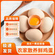 農(nóng)家散養(yǎng)谷物蛋 山林谷飼喂養(yǎng)土雞蛋新鮮生雞蛋 20枚800g