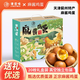 津滋味麻醬雞蛋即食起沙流油熟食咸蛋腌制鹵雞蛋天津薊州特產(chǎn)麻醬雞蛋 麻醬雞蛋(獨立真空)40g*20枚禮盒裝