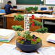 臨雅[兩小時達(dá)]中秋節(jié)送禮五層塔松盆栽青松綠植松樹喬遷開業(yè)盆景植物 桃李滿天下【精致造景老樁塔松盆景】送老師推薦