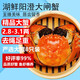 【活蟹】湖鮮陽(yáng)澄 大閘蟹 去繩足重 全母2.8-3.1兩 8只 鮮活中秋節送禮螃蟹海鮮禮盒裝