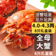【活蟹】乾澄大閘蟹現貨 特大全母蟹4.0-4.3兩 8只 鮮活螃蟹河蟹水產(chǎn)海鮮禮盒裝