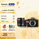 松下（Panasonic）LUMIX G100D 新手學(xué)生入門微單/單電無(wú)反M43畫幅數(shù)碼照相機(jī) vlog拍攝視頻防抖 自拍翻轉(zhuǎn)屏 G100D+【12-60mm】+25mm雙白盒套裝