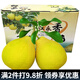 迭果江永香柚湖南永州特產(chǎn)沙田柚新鮮水果甜柚子產(chǎn)地直發(fā) 4.5斤包裝隨機2個(gè)