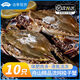 舟山梭子蟹新鮮冷凍特大野生大螃蟹鮮活海蟹海鮮水產(chǎn)非母飛蟹肉蟹 3-4兩/只 【10只 舟山直發(fā)】