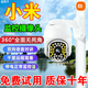 小米芯片攝像頭監控器家庭360度超清無(wú)死角夜視全景無(wú)線(xiàn)手機遠程 wifi款單畫(huà)面高清(無(wú)卡)