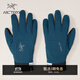 ARC'TERYX始祖鳥(niǎo) VENTA GLOVE 男女同款 手套 NIGHTSCAPE/瀚空藍 M