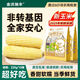 金沃瑞豐白糯 玉米段 220g*10根＞4斤 新鮮甜粘黏 非轉基因 早餐