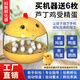 送蛋迷你孵化器小型家用全自動(dòng)控溫孵化機孵蛋器小雞蘆丁雞孵化箱 5枚孵化器【可領(lǐng)6枚種蛋】