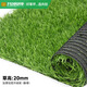 共創(chuàng  )草坪共創(chuàng  )仿真草10平塑料草皮幼兒園健身房綠化戶(hù)外庭院學(xué)校足球場(chǎng)假草 20mm加厚加密升級款（春草）