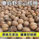陜西秦嶺大山今年新山核桃老品種油香核桃老樹(shù)薄皮核桃裝原味 野生山核桃【3斤大果】送夾子
