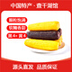 守望鄉村（KEEP W-VILLAGE GO）新鮮東北玉米新甜糯鮮嫩玉米棒 真空包裝 蔬菜苞米棒整箱裝 【4黑4黃】8支 （單支200g以上）