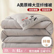 艾薇 A類(lèi)原棉大豆被單人被子冬季加厚被芯棉被150*200cm 4.5斤大豆灰