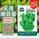 北蔬 豌豆苗種子無(wú)須水培四季易種植芽菜蔬菜種籽 無(wú)須豌豆苗種子20g