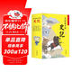寫(xiě)給孩子的史記（全五卷 彩圖注音版）【紀傳體通史】了解各個(gè)朝代的英雄人物【讀史啟蒙錄】【6-9歲】學(xué)生課外閱讀推薦【中國歷史故事】