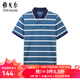 雅戈爾（YOUNGOR）短袖POLO衫男翻領(lǐng)時尚商務(wù)純棉面料雙珠地水柔棉手感柔軟POLO衫 YSPC520179PFA XL