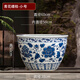 晟煦景德鎮陶瓷魚(yú)缸庭院大缸陶瓷水缸荷花缸青花瓷魚(yú)缸大口徑陶瓷魚(yú)缸 青花纏枝-小號(直徑60cm)