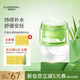璦露德瑪蘆薈膠水凝舒緩睡眠面膜200g 蘆薈凝膠補水保濕面部涂抹免洗護膚