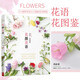花顏花語(yǔ) 197種實(shí)用的四季花卉手冊和花語(yǔ)圖鑒 花藝書(shū)籍誕生花星座守護花花圖鑒 花店花故事養花花語(yǔ)大全書(shū) 談?wù)搻?ài)情半生緣