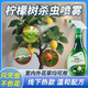 檸檬樹(shù)殺蟲(chóng)劑專(zhuān)用藥檸檬驅蟲(chóng)紅蜘蛛除蟲(chóng)葉子發(fā)黃生樹(shù)蟲(chóng)長(cháng)蟲(chóng)香水打 500ml*1瓶