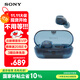 索尼（SONY）WF-C710N 真無(wú)線藍(lán)牙降噪耳機(jī) 運(yùn)動(dòng)防水 輕巧舒適佩戴 長(zhǎng)效續(xù)航藍(lán)牙5.3 禮物送男女友學(xué)生孩子 冰藍(lán)色