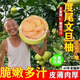 福建正宗度尾文旦柚老樹(shù)現摘現發(fā)時(shí)令柚子新鮮水果蜜柚 30年以上老樹(shù)10斤（5-7個(gè)）