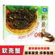 軟殼蟹 黃沙發(fā)貨緬甸進(jìn)口金源帶殼食用青蟹鮮活生凍順豐直達 緬甸軟殼蟹1盒7-12個(gè)