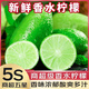 裕農叔香水檸檬新鮮無(wú)籽小青檸廣西特產(chǎn)酸甜孕婦水果奶茶店專(zhuān)用整箱批發(fā) 2斤凈重 精選6S果 單果（80-150g）