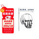 動(dòng)態(tài)素描：頭部結構