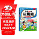 斗半匠 每天10道應用題 二年級上冊 小學(xué)數學(xué)應用題強化訓練 數學(xué)思維強化題奧數舉一反三綜合天天練