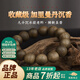 木醉收藏級正區加里曼丹沉香手串男九分沉水108顆佛珠文玩生日送禮物【收藏級】加里曼丹14mm