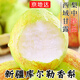 京地達新疆庫爾勒香梨梨子梨水果 凈含量9斤單果100g+源頭直發(fā)包郵