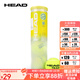 海德（HEAD） 膠罐網(wǎng)球TOUR XT大師賽用球專(zhuān)業(yè)比賽球訓練球桶裝 【1桶4?！縏EAM 黃罐網(wǎng)球