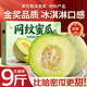 四叔公果蔬網(wǎng)紋蜜瓜【多地次日達】甜瓜香瓜當季新鮮水果禮盒中秋禮品 精品網(wǎng)紋瓜（鎖鮮包裝｜自吃推薦） 3斤裝 | 1個(gè)【超值推薦-80%選擇】?jì)?.8