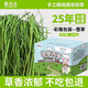 petandyou烘干提摩西草段北提草兔子干草糧草飼料草龍貓荷蘭豬豚鼠糧草食物 25年提摩西草整草1000g