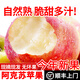 新疆阿克蘇蘋(píng)果大果脆甜紅富士蘋(píng)果應季新鮮水果非冰糖心蘋(píng)果順豐 95mm(含)以上_12個(gè)禮盒_精選大果好果_送禮 8斤