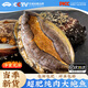 昌鮮園鮮凍大鮑魚(yú)鮮活貝類(lèi)冷凍生鮮海鮮水產(chǎn)火鍋燒烤佛跳墻鮑汁撈飯食材 【10-12頭/斤】2斤裝