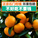 石門(mén)柑橘正宗石門(mén)秀坪柑橘常德蜜柑桔子新鮮水果早熟蜜桔橘子皮薄孕婦水果 9斤 青黃(大果)60-75mm（7分甜）精選品質(zhì)